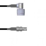 Q-2C00Q00030.5M