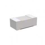 RU1608FR010CS